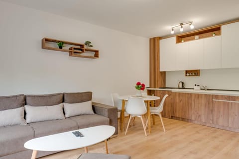 Kitchen or kitchenette, Living room, Seating area, Dining area, stove