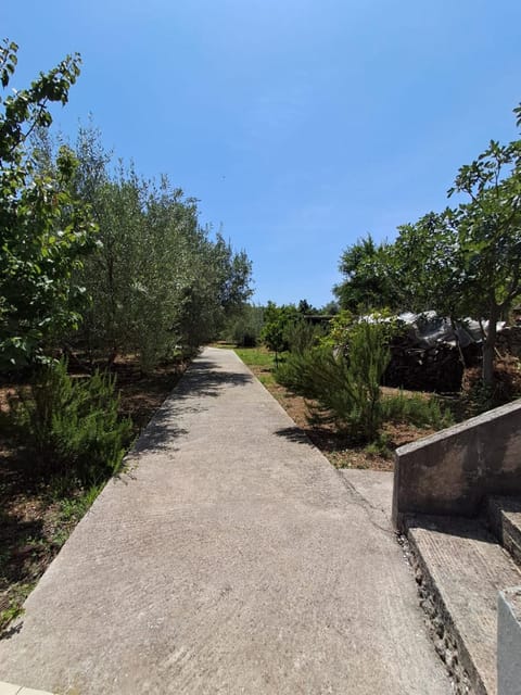 Property building, Spring, Day, Neighbourhood, Natural landscape, Garden, Beach, Garden view