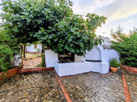 Patio, Spring, Day, Garden, Garden view
