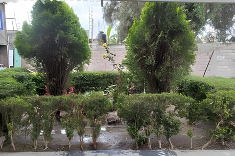 Acosta 2 House in Hidalgo, Mexico