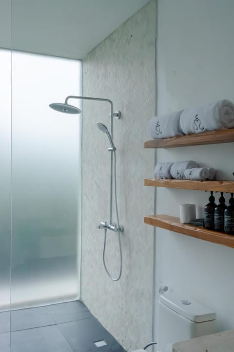 Shower, Bathroom, towels