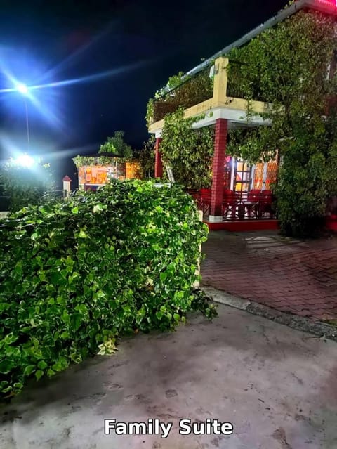 Night, Garden view