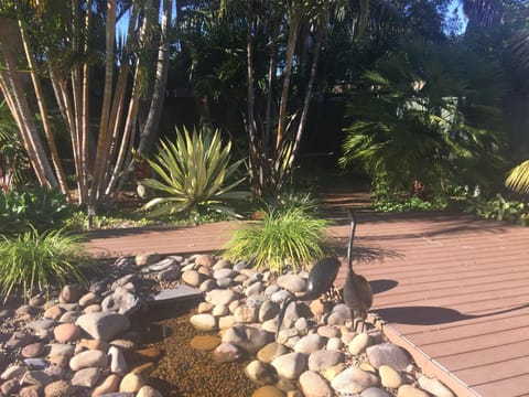 Garden view