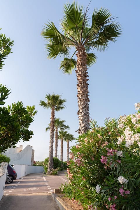 Day, Natural landscape, Garden, Garden view