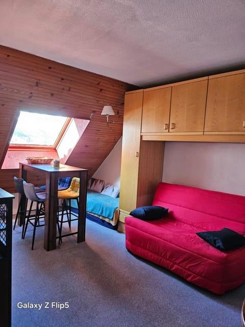 joli studio vue montagne Apartment in Allos