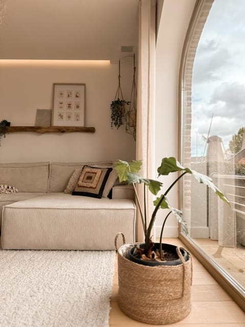 Ibiza LOFT MOLN House in Limburg (province)