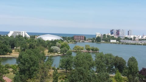 Natural landscape, Bird's eye view, Lake view
