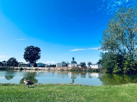 Natural landscape, Lake view