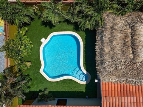Day, Garden, Garden view, Pool view, Swimming pool, sunbed