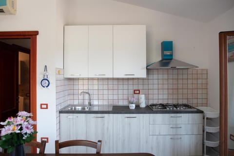 Kitchen or kitchenette, pet friendly, stove