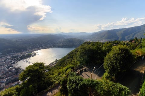 Lake view