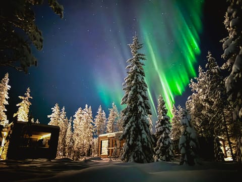 Night, Natural landscape, Winter, View (from property/room)
