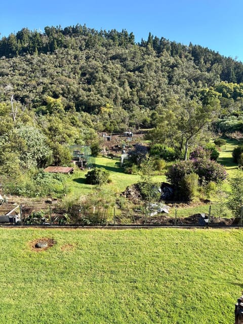 Spring, Day, Natural landscape, Garden, Garden view, Mountain view
