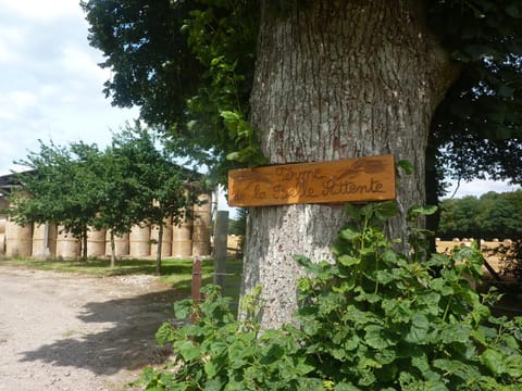Property logo or sign
