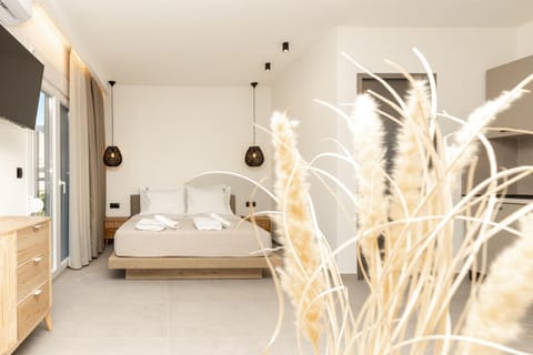 Bed, TV and multimedia, towels