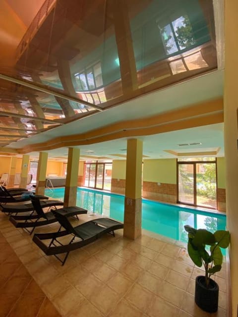 Pool view, Swimming pool, Swimming pool, sunbed