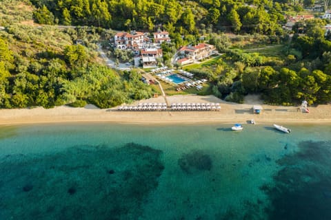 Bird's eye view, Beach
