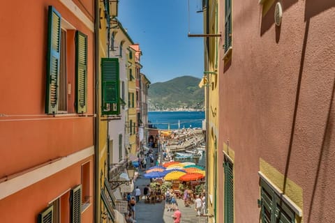 Vernazza Prestige 5TERRE 30 mt the sea AC Apartment in Vernazza
