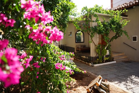 Property building, Day, Garden, Garden view