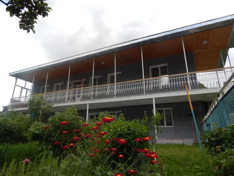 Garden, Balcony/Terrace, Seasons, Time of day