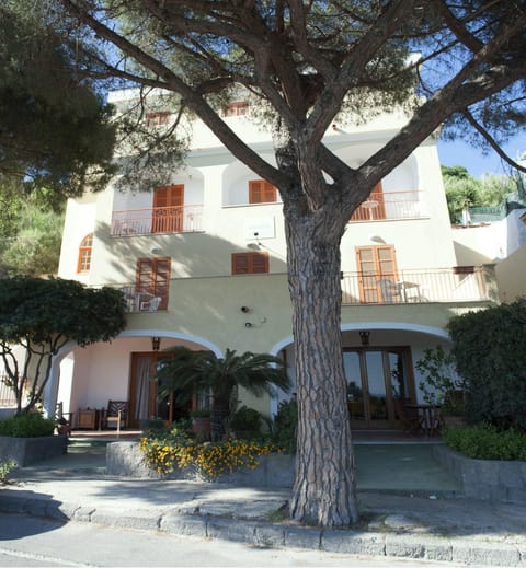 Property building, Day