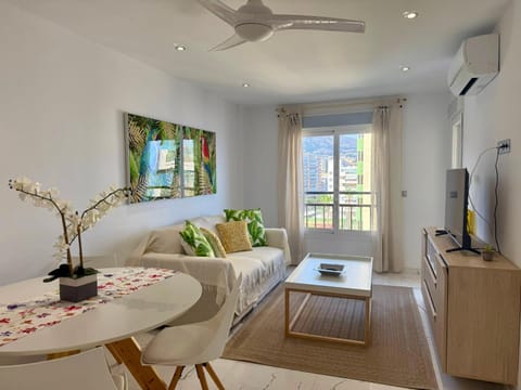 Communal lounge/ TV room, TV and multimedia, Living room, Seating area, Dining area, fireplace, air conditioner