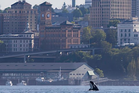 Natural landscape, City view