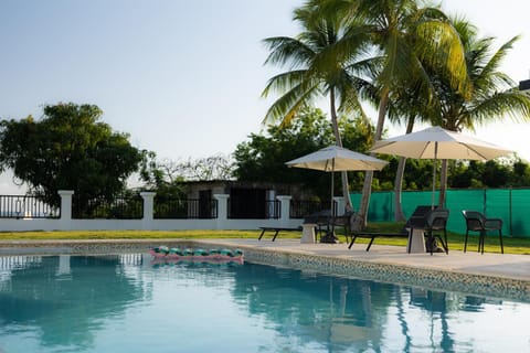 Day, Garden view, Swimming pool, Swimming pool, sunbed