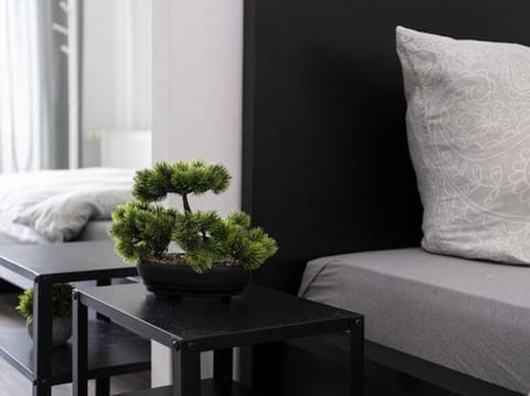 Fährhaus Apartment in Schleswig-Holstein