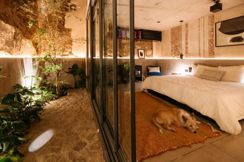 Bed, Photo of the whole room, Bedroom, Pets