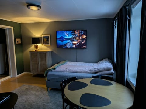 Bed, TV and multimedia, Living room, Photo of the whole room, Seating area, Bedroom