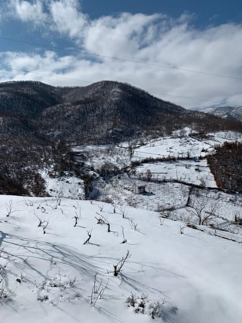 Dikellari Guest House Villa in North Macedonia