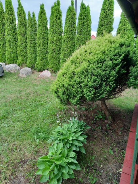 Domki Lazur Nature lodge in Pomeranian Voivodeship