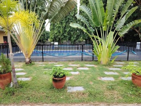 Garden, Garden view, Pool view, Swimming pool, Swimming pool