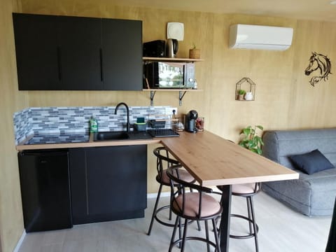 Kitchen or kitchenette, Dining area, stove, air conditioner