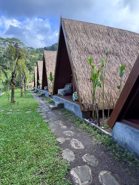 Property building, Garden, Garden, Garden view