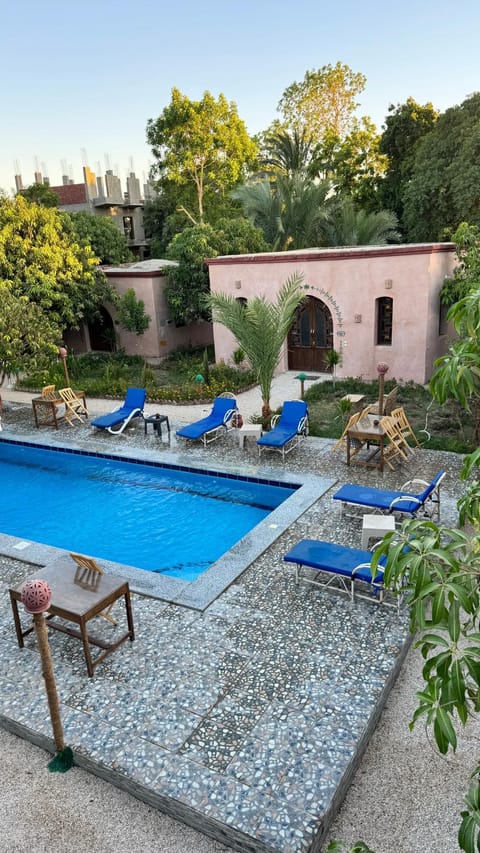 Property building, Patio, Day, Garden, Garden view, Pool view, Swimming pool, sunbed