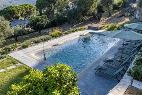 Garden view, Pool view, Swimming pool, sunbed