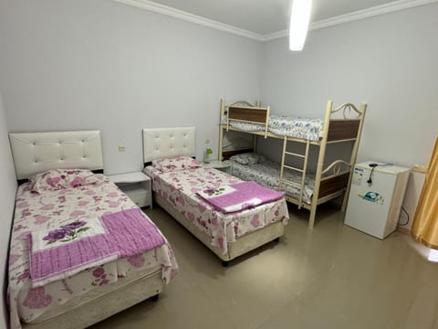 Bed, Photo of the whole room, Bedroom, bunk bed