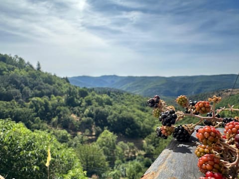 Day, Natural landscape, Mountain view