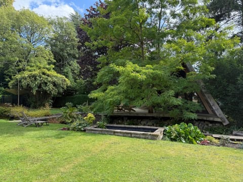 Spring, Day, Natural landscape, Garden, Garden view