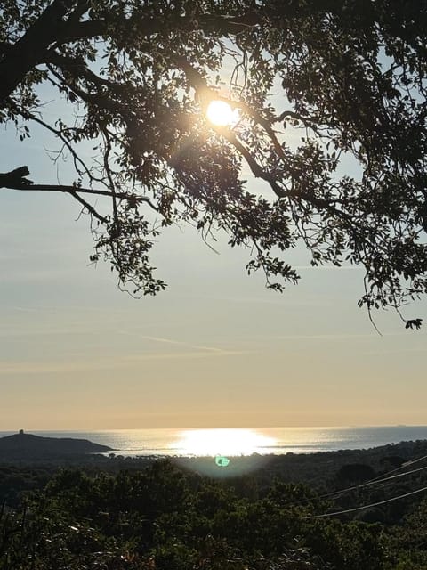 Sea view, Sunrise