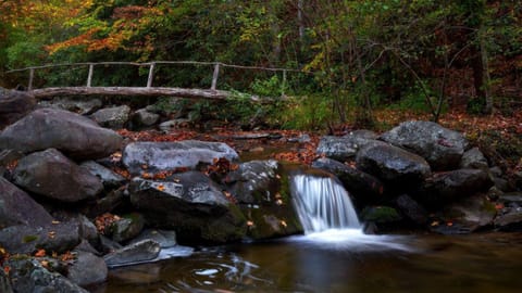 Nature's Hideaway: Cabin Retreat to Unwind from Gatlinburg's Crowds Cabin in Gatlinburg