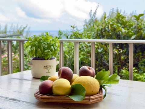 Balcony/Terrace, Sea view, furniture