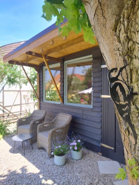 Property building, Garden, Garden view