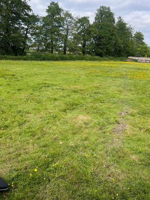 Redwoods Retro Caravans Campground/ 
RV Resort in Purbeck District