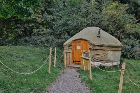 Chestnut - Yurt House in Louth, Co. Louth, Ireland