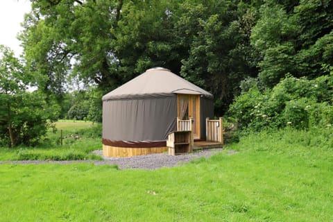 Chestnut - Yurt House in Louth, Co. Louth, Ireland