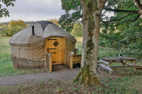 Chestnut - Yurt House in Louth, Co. Louth, Ireland