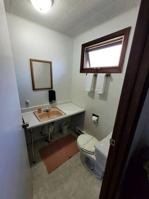 Amazing Cottage with Fire Pit and Fishing in Wellston, Michigan House in Michigan